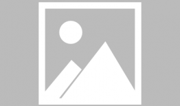 疫情第91场发布会直播,最新防控措施与疫情动态解读